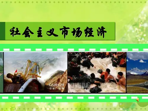 必修1经济生活第九课社会主义市场经济