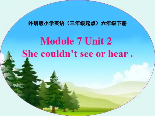 外研版(三起)六年级英语下册 Module 7 Unit 2 She couldn't see or hear.课件