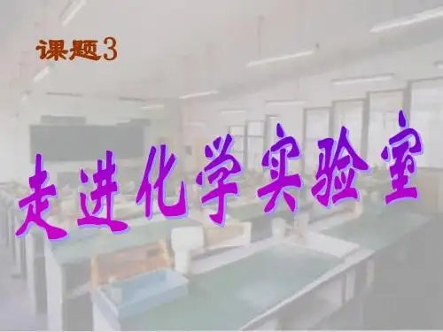 九年级化学走进化学实验室2