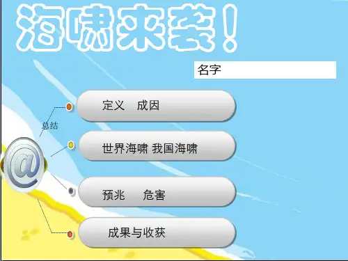 海啸精美PPT