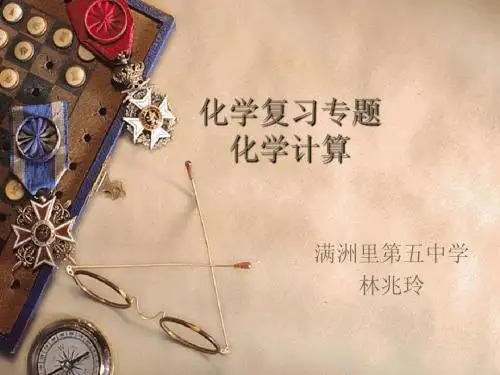 化学复习专题化学计算