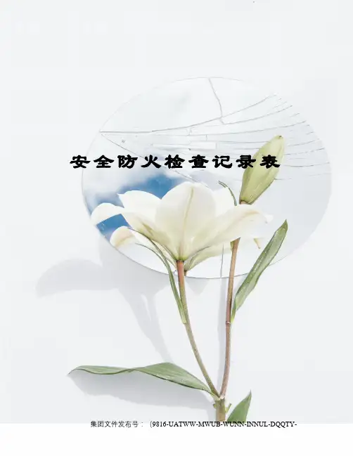 安全防火检查记录表