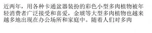 多肉植物内外销走势渐强