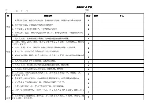 5S检查表 2