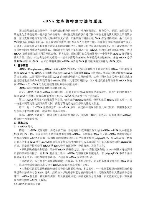 cDNA文库的构建方法与原理