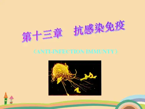 医药类抗感染免疫PPT教学课件