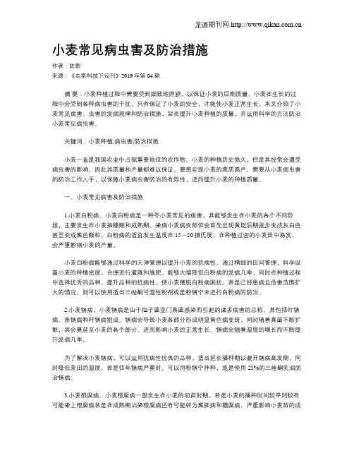 小麦常见病虫害及防治措施