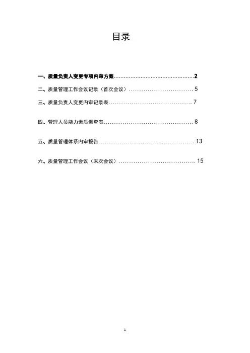 专项内审