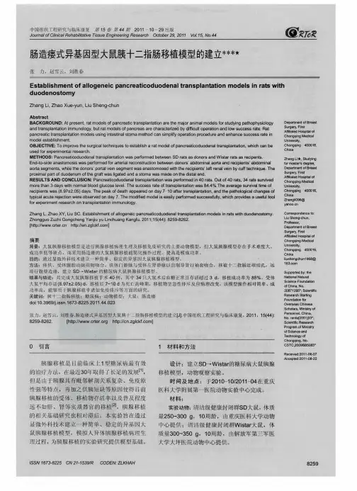 肠造瘘式异基因型大鼠胰十二指肠移植模型的建立
