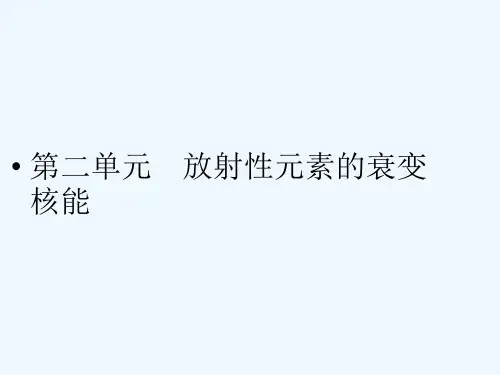 高考物理总复习 放射性元素的衰变核能课件课件