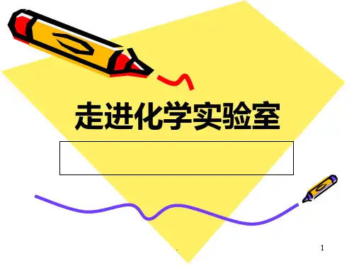 走进化学实验室PPT课件