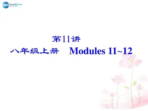 中考英语总复习_第11讲_八年级上册_Modules_11-12课件_外研版