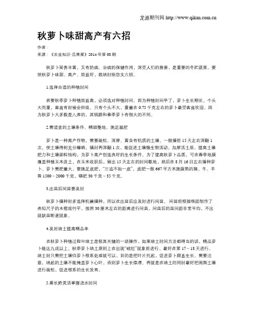 秋萝卜味甜高产有六招