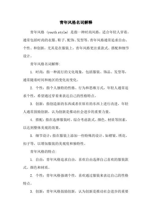 青年风格名词解释