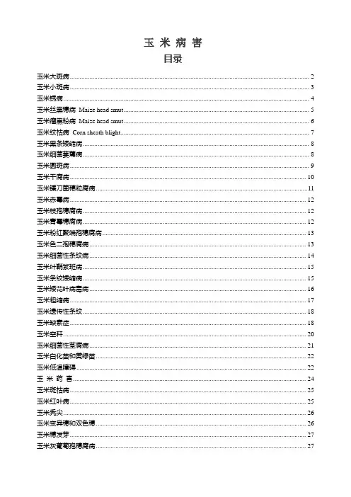 玉米病害图谱1