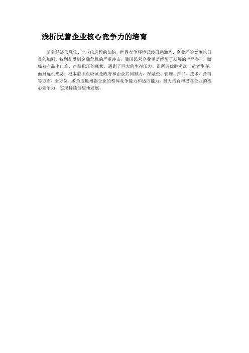浅析民营企业核心竞争力的培育