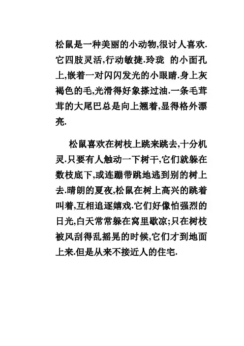 松鼠是一种美丽的小动物