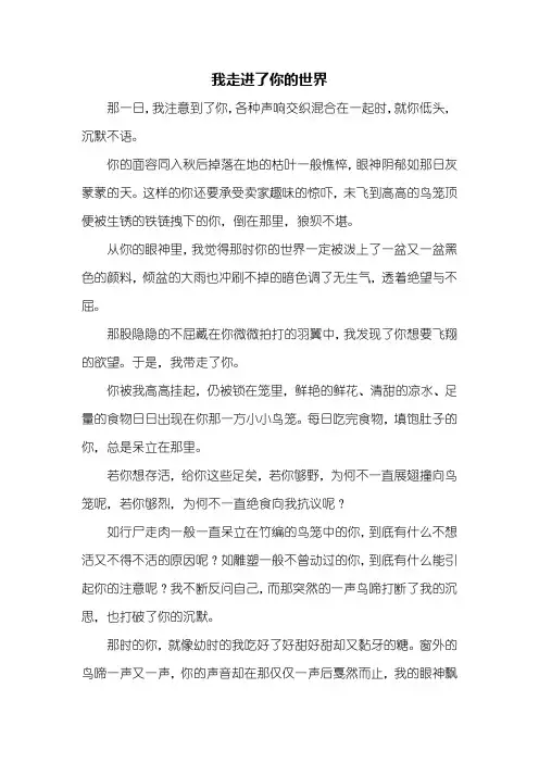 初三作文：我走进了你的世界作文700字