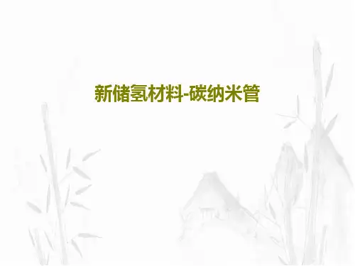 新储氢材料-碳纳米管共24页文档