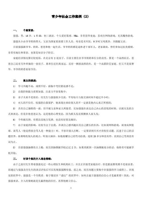 青少年社会工作案例