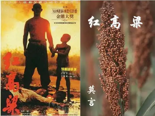 红高粱1