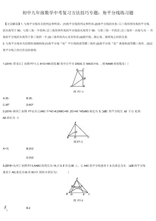 初中九年级数学中考复习方法技巧专题：角平分线练习题真题含解析