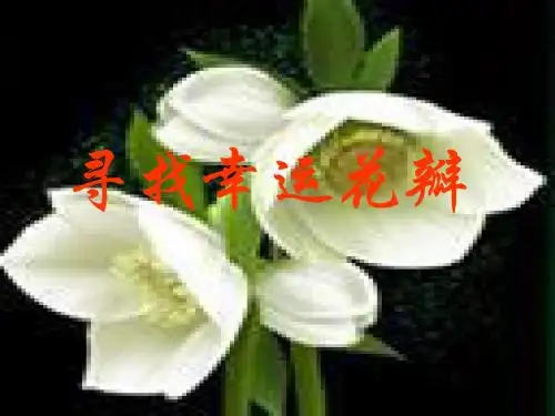 《寻找幸运花瓣》课件