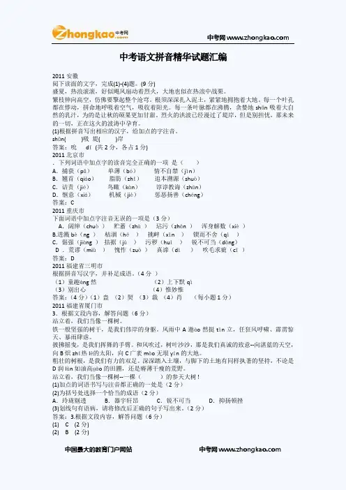 中考语文拼音试题汇编