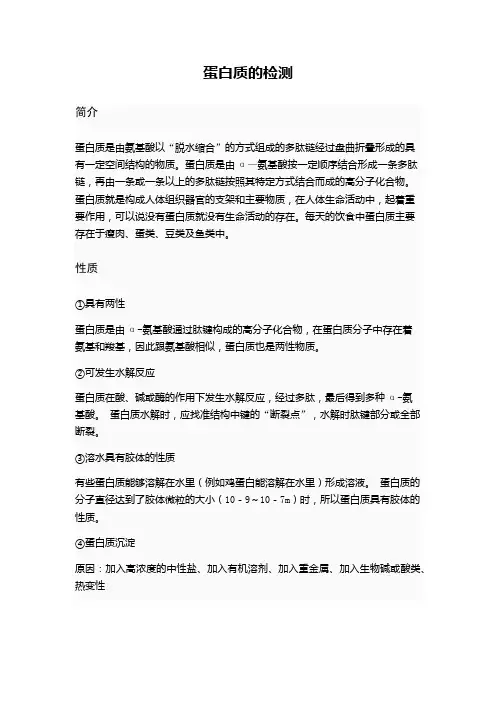 食品中蛋白质的检测