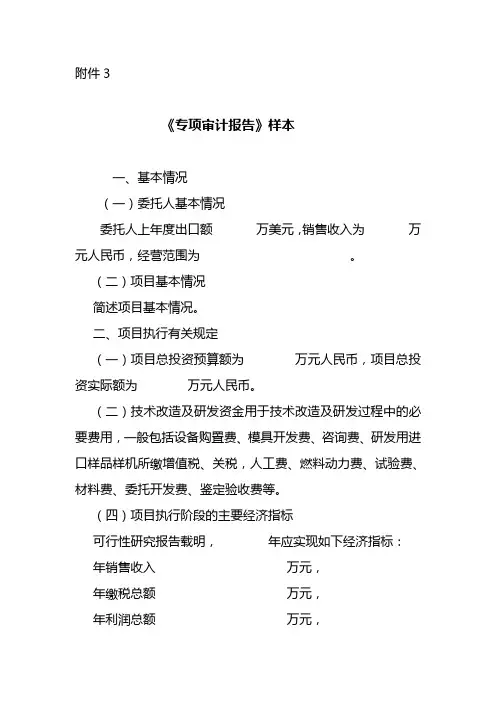专项审计报告样本