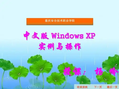 精选中文版 Windows XP 11资料