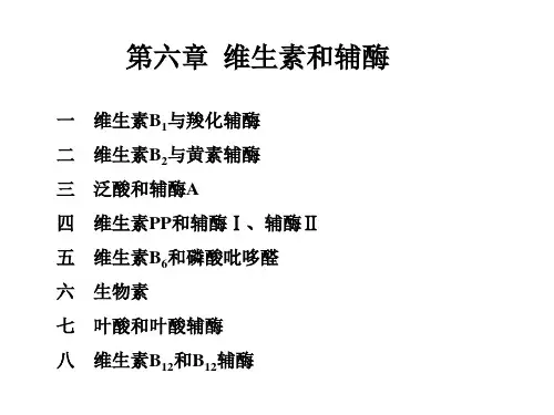 第六章 维生素和辅酶