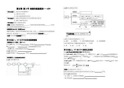 细胞的能量“通货”-ATP学案
