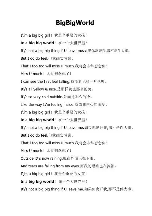 BigBigWorld《大大世界》歌词