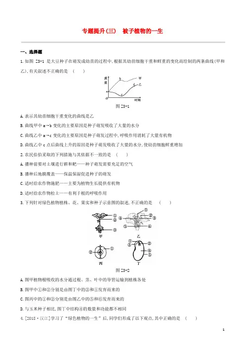(鄂尔多斯专版)2020中考生物复习方案专题提升(03)被子植物的一生试题