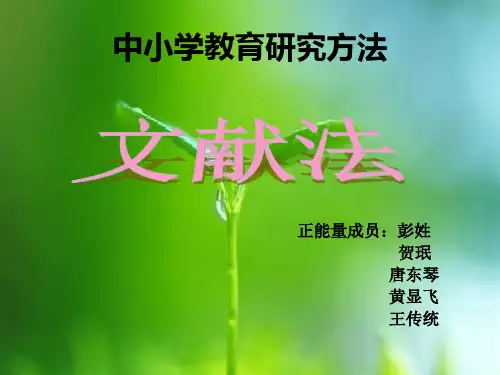 文献法ppt完整版