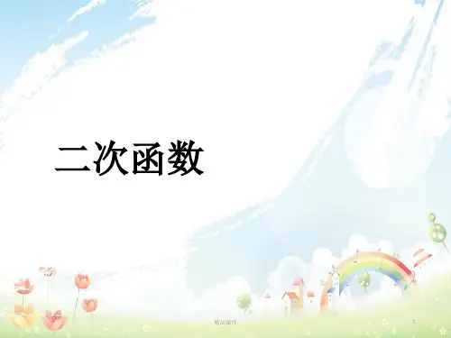 九年级数学下册 1.1 二次函数课件 (新版)湘教版
