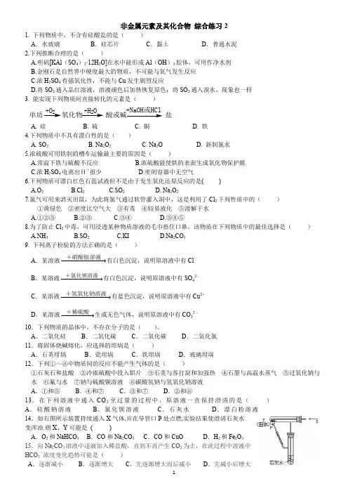 非金属元素及其化合物 复习题
