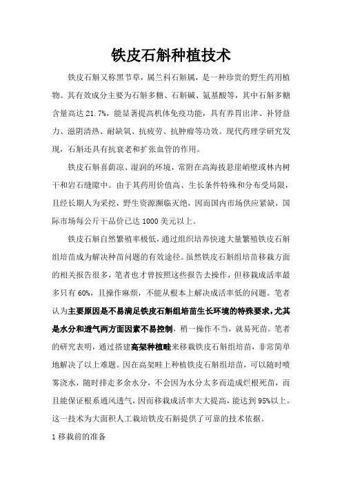 铁皮石斛种植技术 2