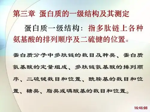 第三章 蛋白质一级结构及测定