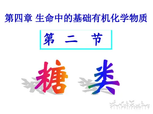 《糖类》上课课件1