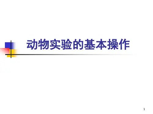 机能实验学:动物实验的基本操作