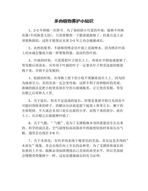 多肉植物养护小知识