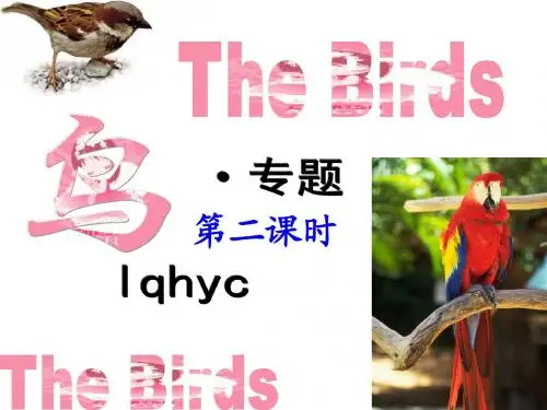 鸟专题  第二课时