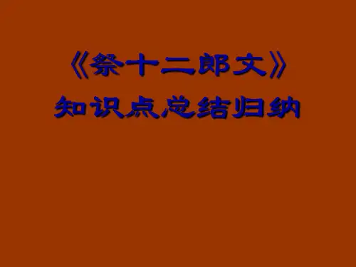 祭十二郎文  知识点归纳.ppt