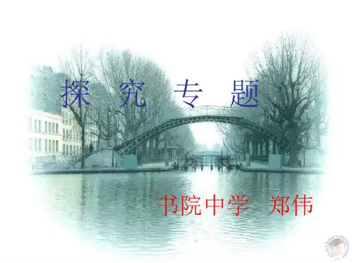 中考复习科学探究专题浙教版
