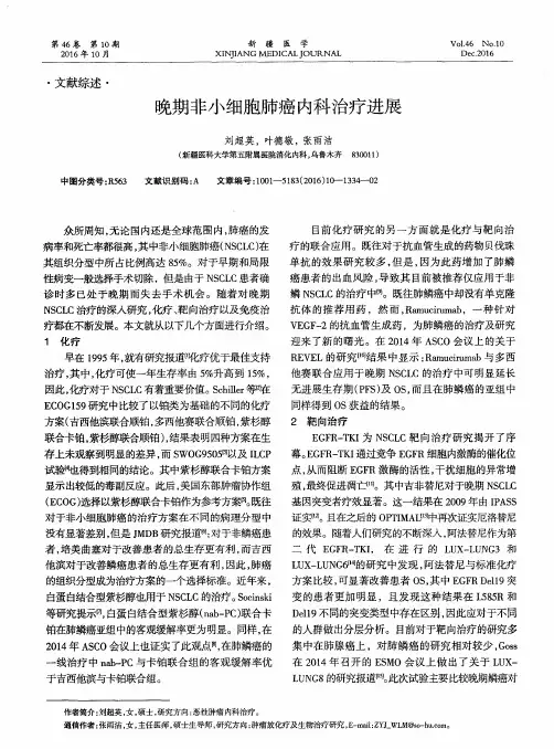 晚期非小细胞肺癌内科治疗进展