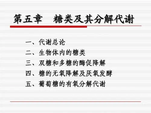 糖类及其分解代谢