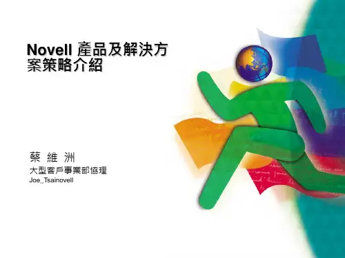 产品及解决方案策略介绍28页