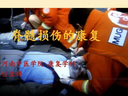 脊髓损伤ppt课件